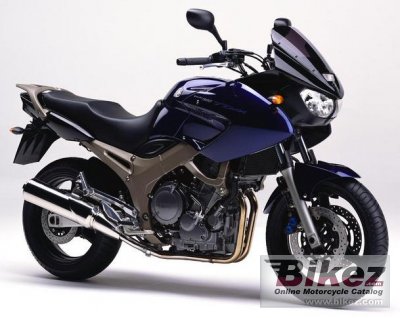 2003 Yamaha TDM 900 photo